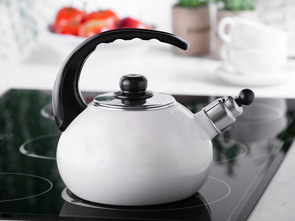 Эмалированные чайники со свистком для газовой и электрической плиты: рейтинг лучших
