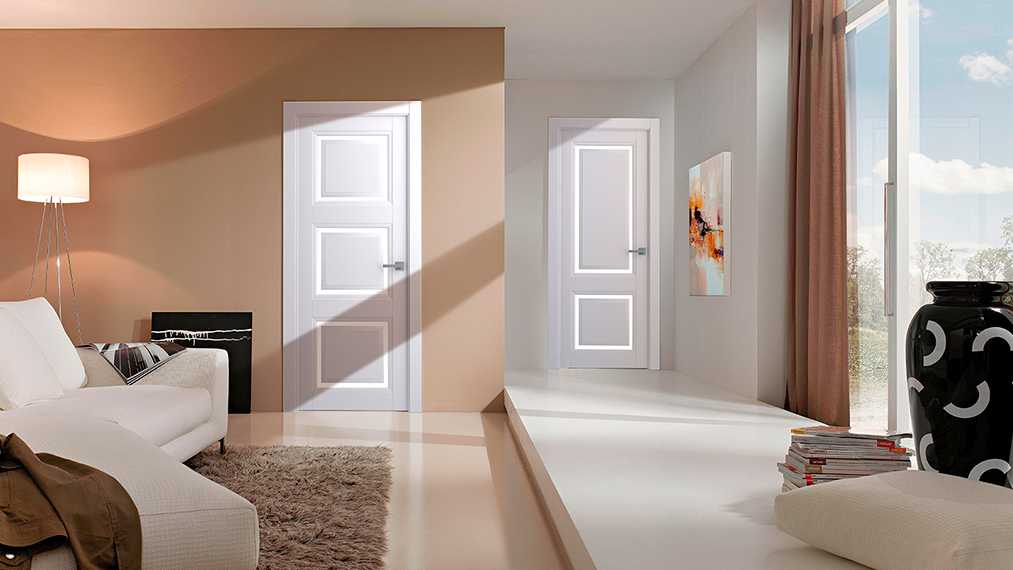 Двери в зал [56 фото] гид по выбору цвета, формы и дизайн интерьера зала