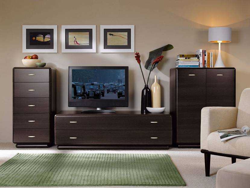 Стенка в гостиную без ниши под телевизор: плюсы и минусы, выбор и размещение