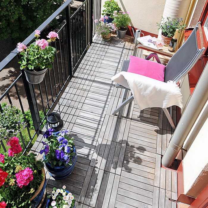 Названия цветов для балкона (63 фото): балконные вьющиеся и ампельные растения на северной стороне