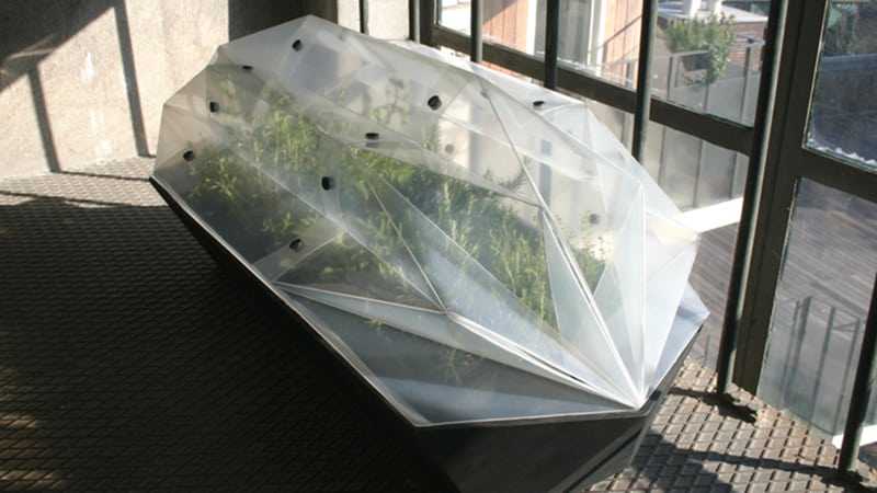 Парник на подоконник: домашняя теплица - мини-вариант для рассады на окне квартиры, тепличка на балконе в домашних условиях