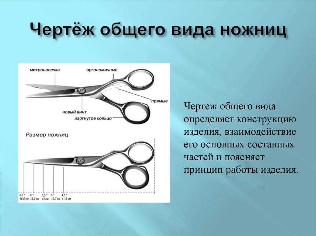 Классификация ножниц для стрижки волос