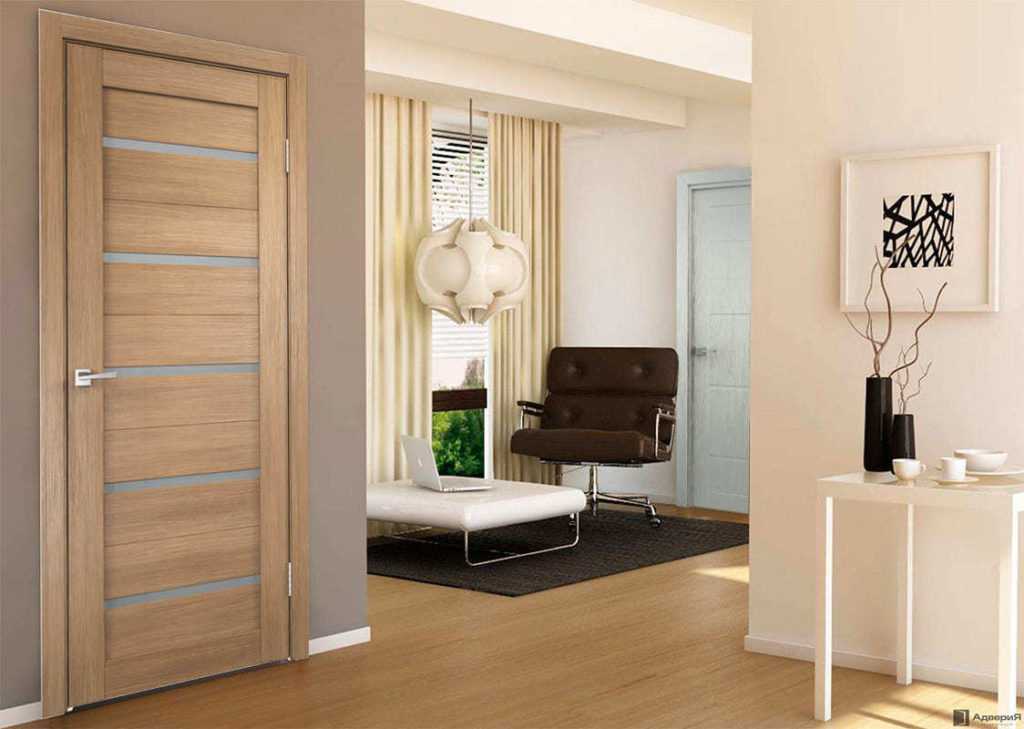 Раздвижная дверь в квартире: особенности конструкции и виды