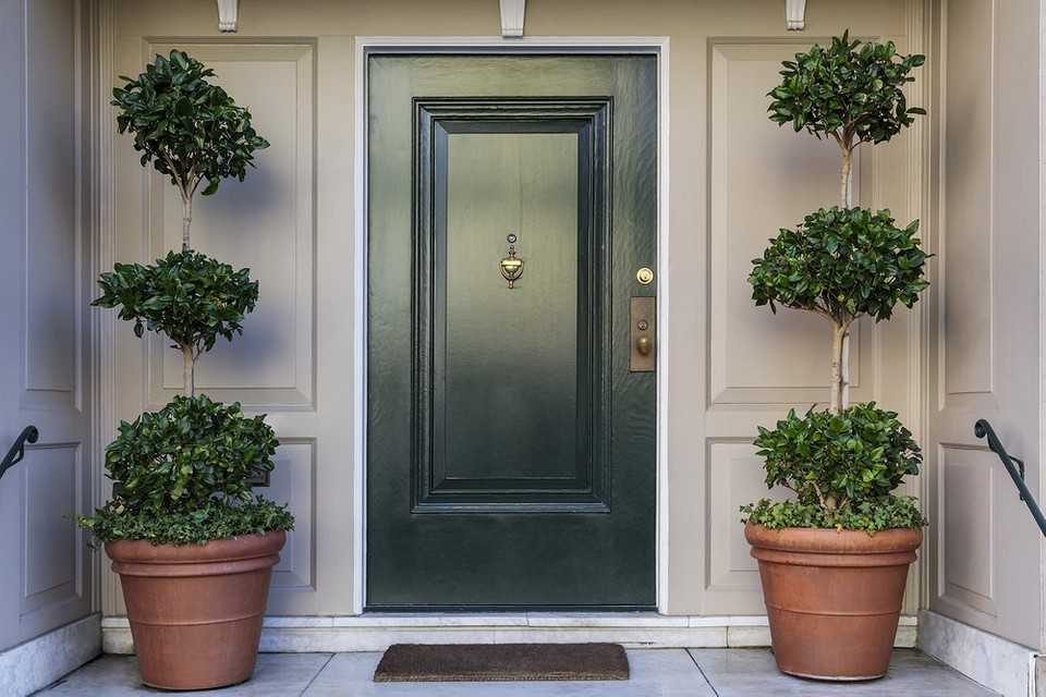Лучшие входные двери в частный дом (50 фото): виды и критерии отбора