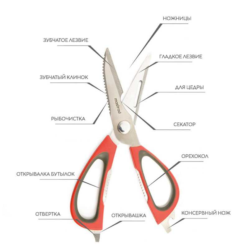 Канцелярские ножницы: как правильно их держать? технические характеристики канцелярских ножниц по госту, описание больших и детских ножниц