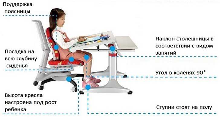 Обзор популярных моделей письменного стола для двоих детей: виды по материалу, форме, комплектации, внешнему виду