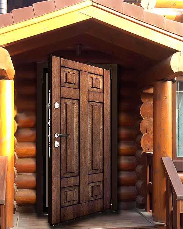 Входная дверь в частный дом (52 фото): уличные утепленные и теплые деревянные модели для коттеджа, а также морозостойкие с окном