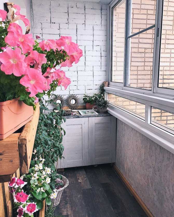 Как вырастить цветы на балконе: ящики, горшки, кашпо