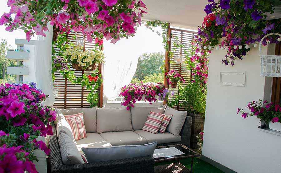 Клумба на балконе: как создать цветущий мини-сад 