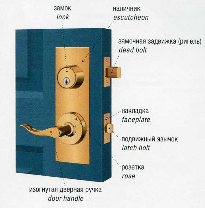 Врезной дверной замок (30 фото): внутренний сувальдный механизм для металлической и пластиковой двери, устройство и размеры