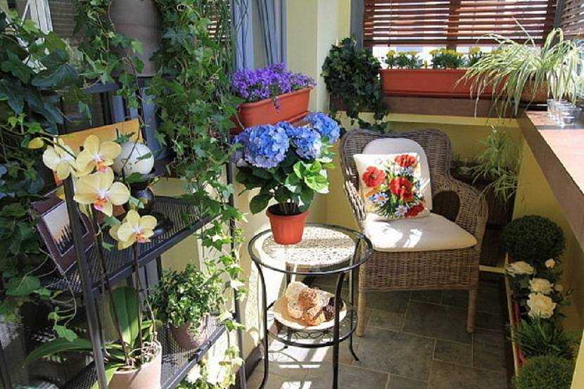 Дизайн балкона с цветами (44 фото): растения для солнечной стороны, цветочные кашпо