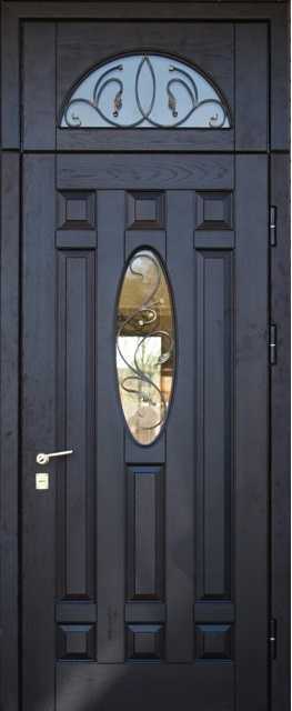 Входные двери со стеклом (66 фото): алюминиевые, стеклянные и пластиковые конструкции для загородного дома, уличные виды