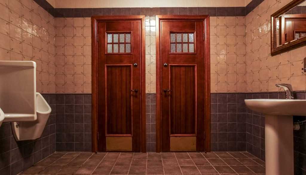 Двери для ванной раздвижные (38 фото) и туалета