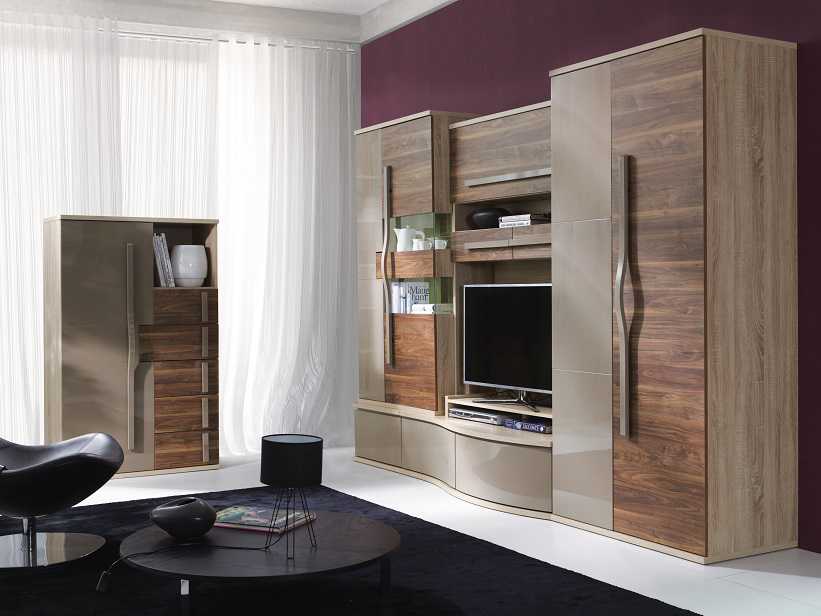 Шкафы в гостиную (57 фото): современные подвесные шкафы для одежды в гостиную и зал, интересные идеи и дизайн с печатью