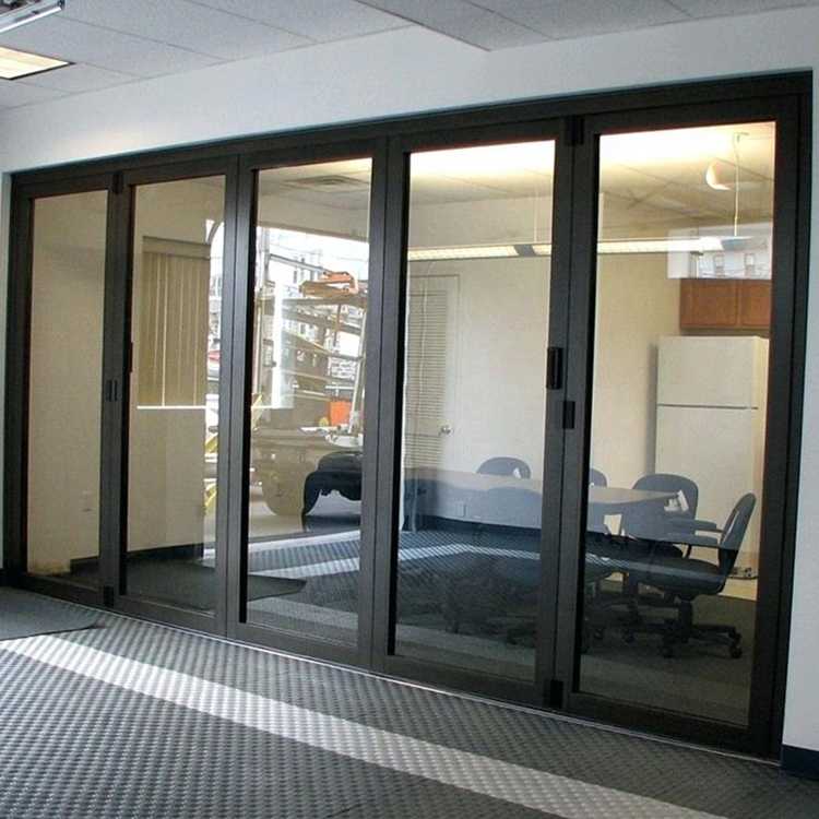 Алюминиевые двери (61 фото): глухие теплые входные двери из алюминиевого профиля для частного дома, конструкции со стеклом