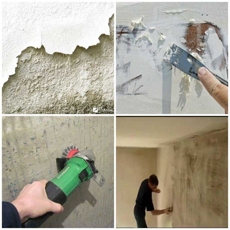 Как быстро снять водоэмульсионную краску со стен: методы очистки и надо ли это делать | в мире краски