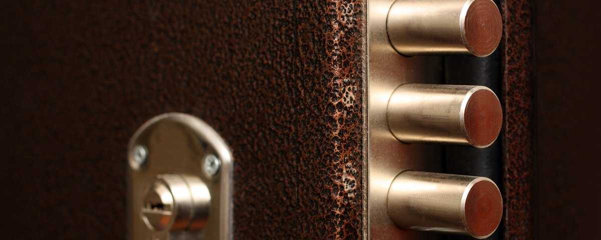 Замки для входных металлических дверей: какой механизм надежнее и лучше