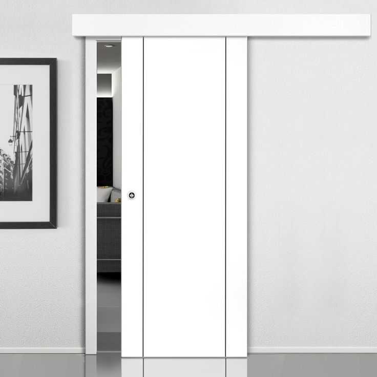 Глянцевые межкомнатные двери (43 фото): глухие гладкие модели, варианты с лаковым покрытием, примеры черных и молочного цвета дверей в интерьере, отзывы