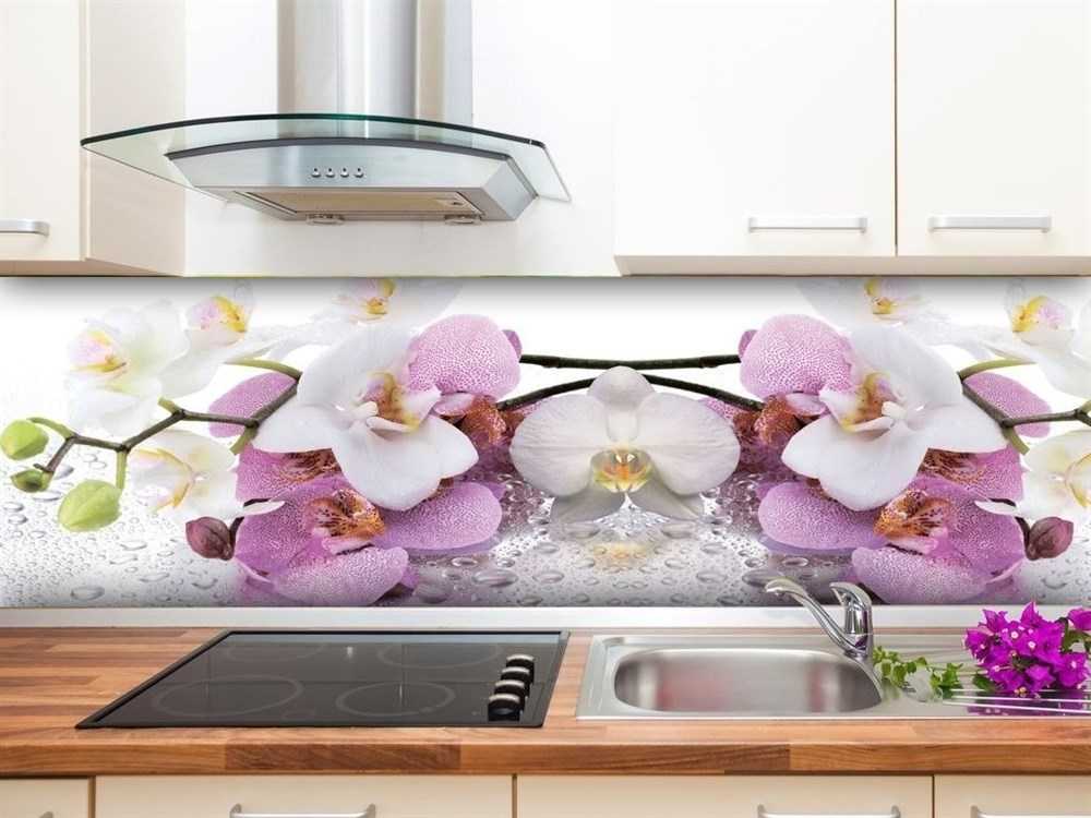 Кухонный фартук из стекла, скинали: 100 шикарных идей дизайна с фото